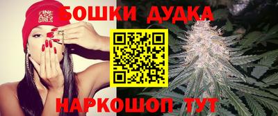 крисы Лесосибирск