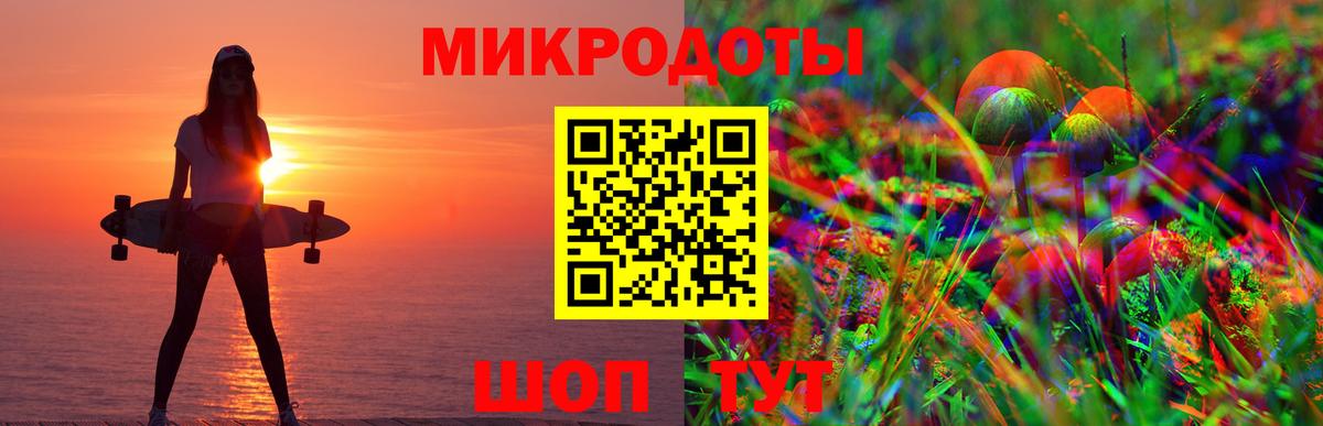Донской  Псилоцибиновые грибы мицелий  Вход с VPN 